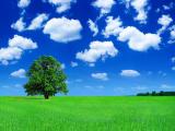 Blue sky